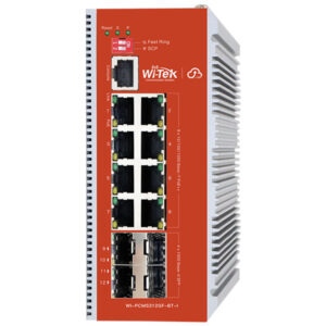 Wi-Tek WI-PCMS312GF-BT-I